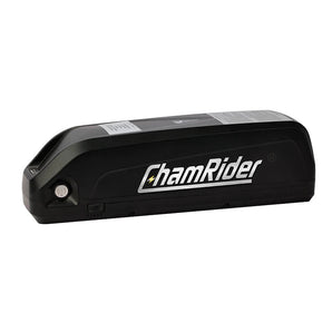 48V 1500W 20Ah Battery